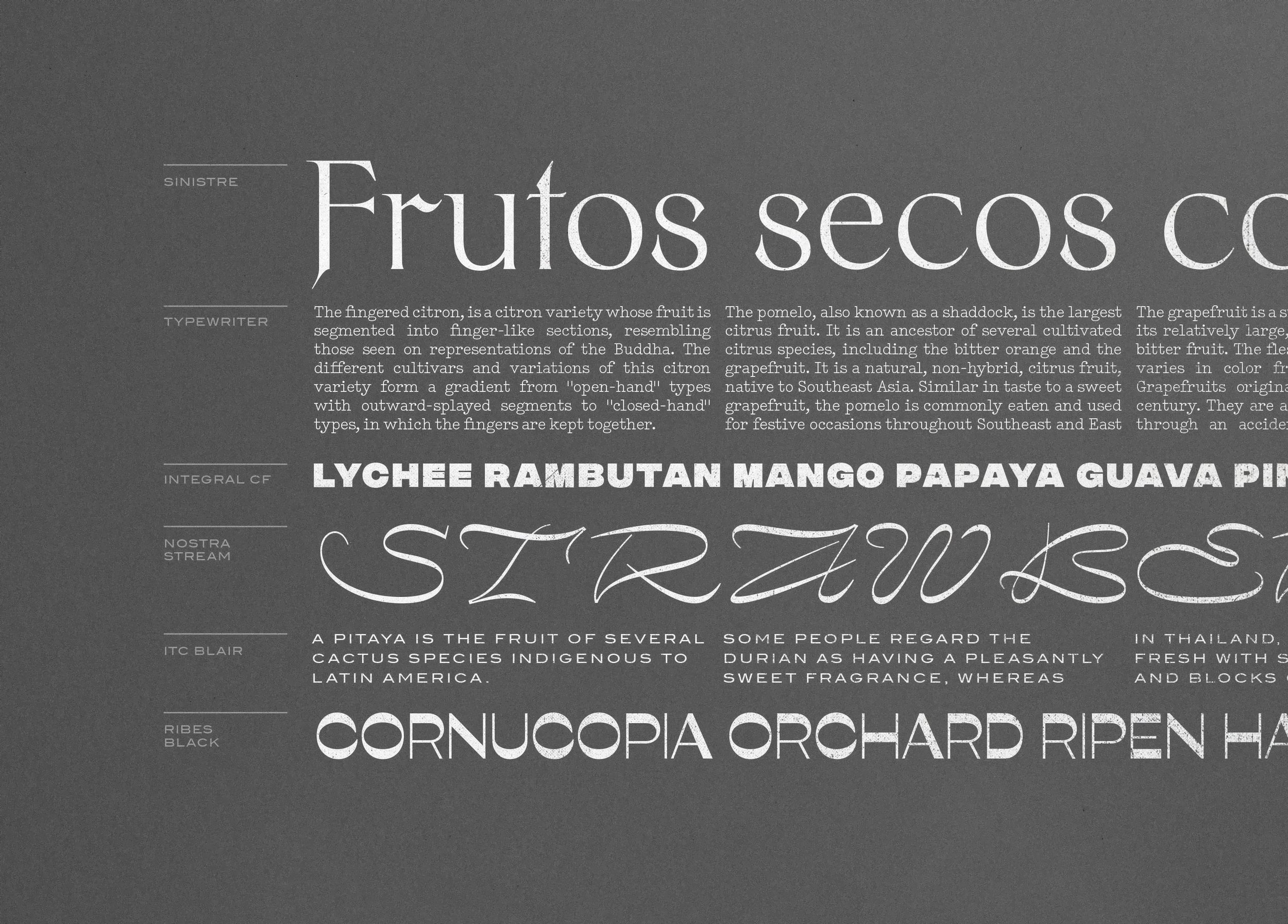 Typography